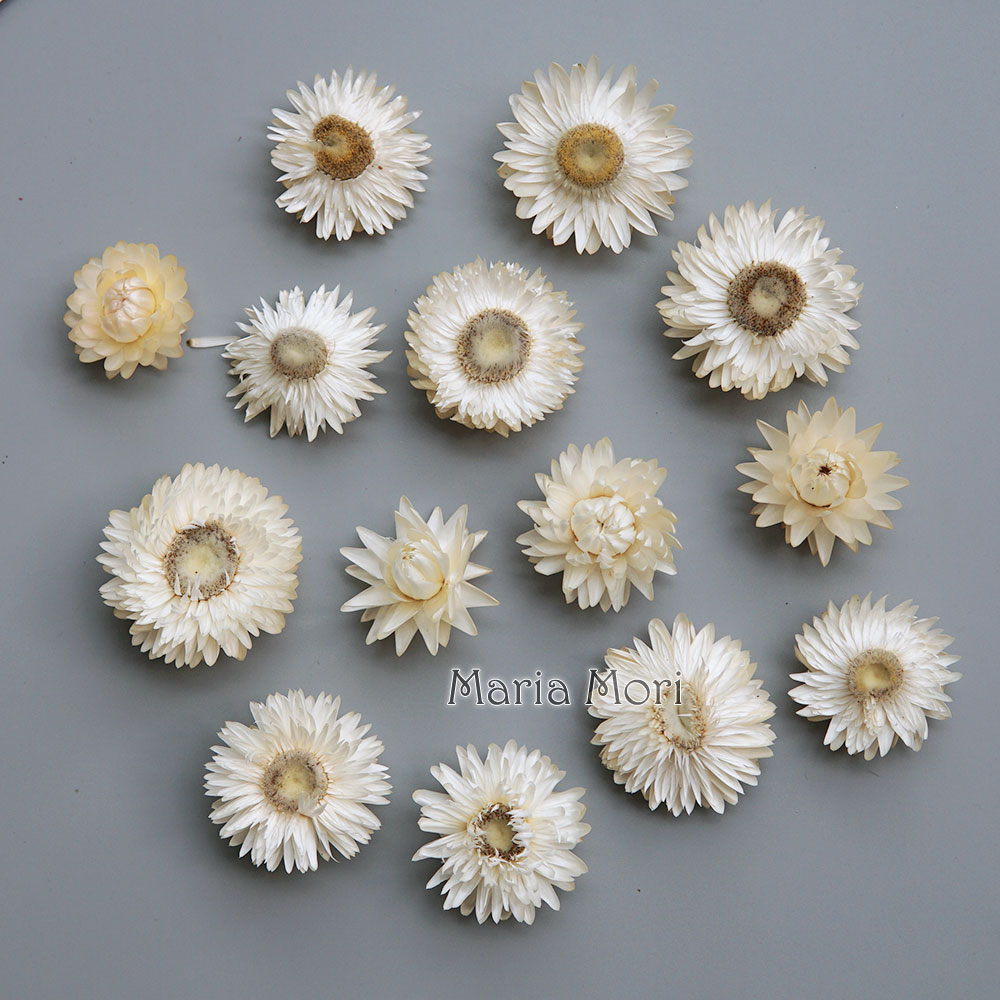 Baby Products Dropshipping - Couronne de chrysanthème colorée séchée naturelle,