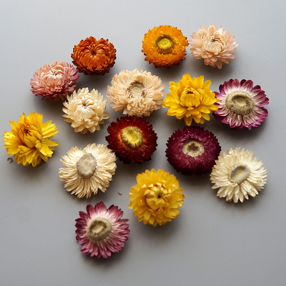 Couronne de chrysanthème color - Baby Products Dropshipping avis et prix