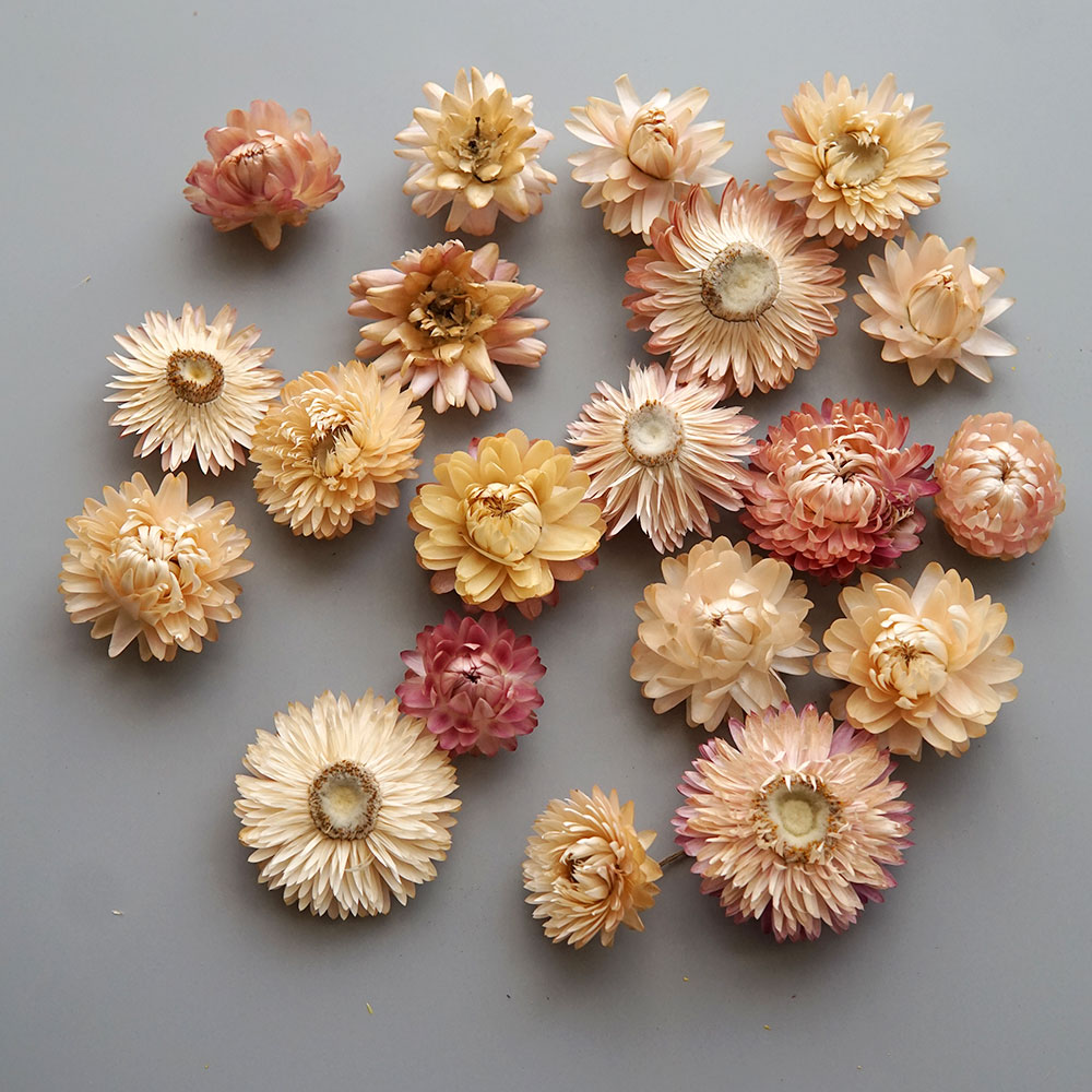 Couronne de chrysanthème color - Baby Products Dropshipping avis et prix